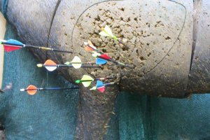 15.8.2014 Wöllersdorf 3D