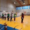 20260124-120-Pfeile-Artemis-015