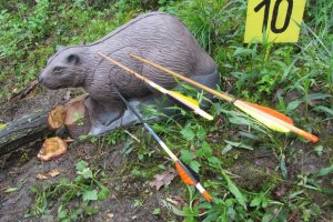 26.4.2014 NÖ Cup Hohenau