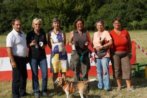 28.6.2014 Zurndorf 3D Combi