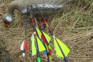 31.8.2014 S&H Fun Turnier