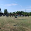20260704-72-Pfeile-Lassee-001