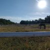 20260704-72-Pfeile-Lassee-004