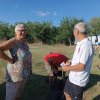20260704-72-Pfeile-Lassee-012