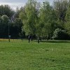 6.4.2024-Ubersiedeln-009