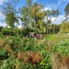 8.10.2021-Russbachtal-002