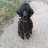 20260217-Dinstag-Training-002